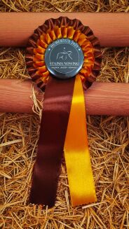 Kotylion podwójny #2 - brązowy / miedziany - 3