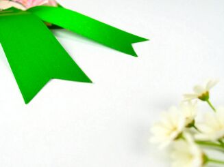 Kotylion Hobby Horse - Daisy - 3