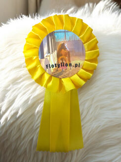 Kotylion Hobby Horse - 3