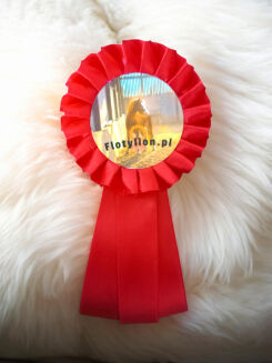 Kotylion Hobby Horse - 4