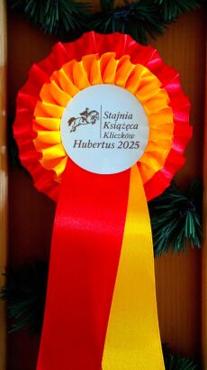 Kotylion podwójny #2 - czerwony / pomarańczowy