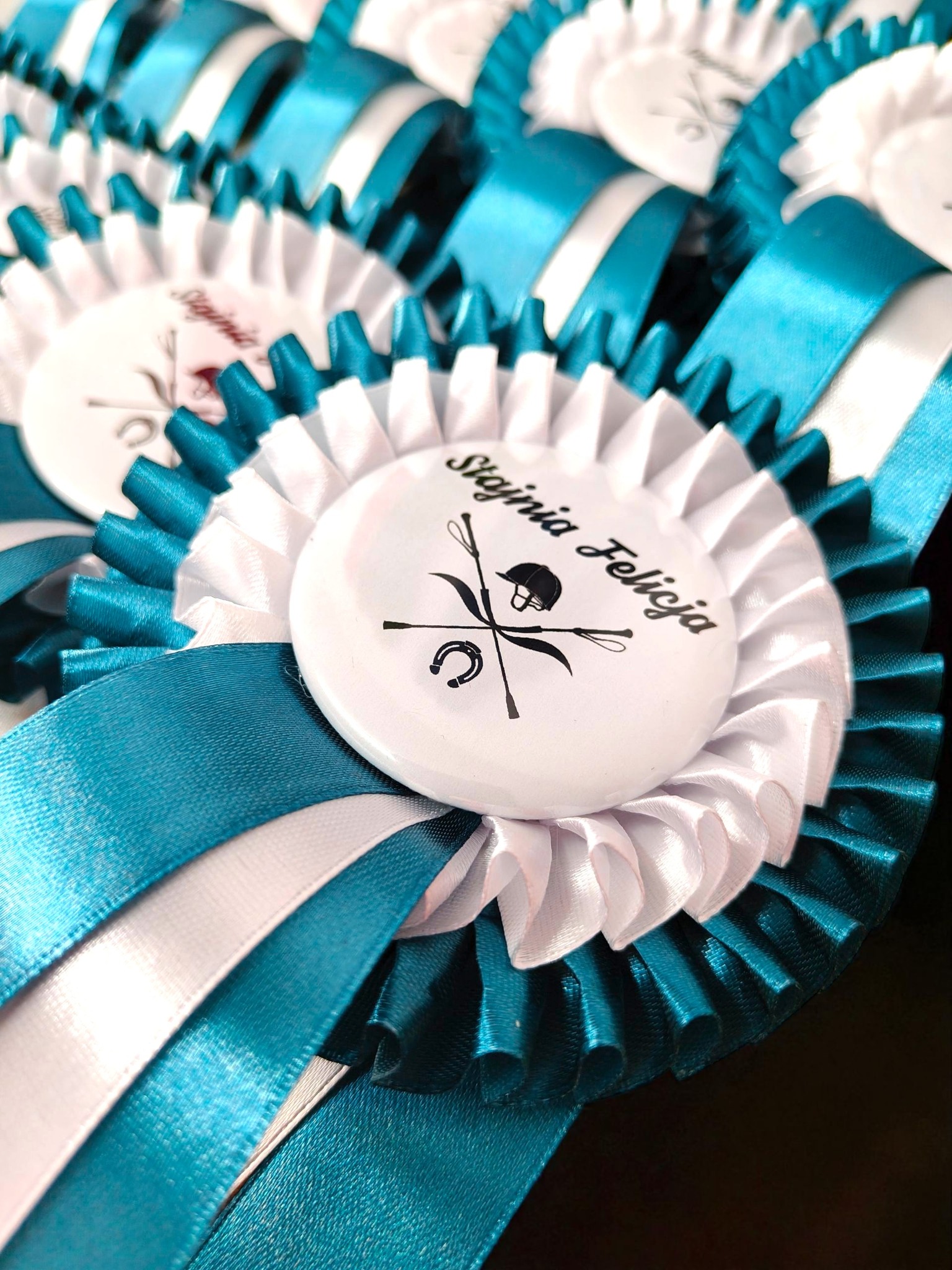 Harmonia kolorów flots na zawody